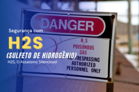 H2S - O Assassino Silencioso